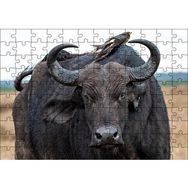 Cakapuzzle Buffalo ve Sırtındaki Kuş Arkadaşları Mdf 120 Parça Puzzle