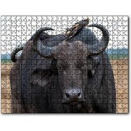 Cakapuzzle Buffalo ve Sırtındaki Kuş Arkadaşları Mdf 255 Parça Puzzle