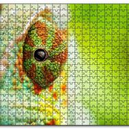 Cakapuzzle Bukalemun Gözü Yakın Çekim Flu Arkaplan Mdf 120 Parça Puzzle