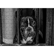 Cakapuzzle Buldog Köpek Irkı Parmaklıklar Ardında Görseli Mdf 120 Parça Puzzle