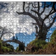 Cakapuzzle Bulutlar Kuru Ağaç ve Dalındaki Çift Mdf 255 Parça Puzzle