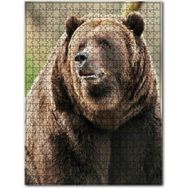 Cakapuzzle Büyük Boz Ayı Yakın Çekim Ahşap 255 Parça Puzzle