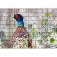 Cakapuzzle Çalılıklar Arasındaki Sülün 120 Parça Ahşap Puzzle