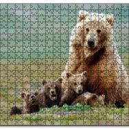 Cakapuzzle Çayırda Anne Boz Ayı ve Sevimli Yavruları Mdf 120 Parça Puzzle