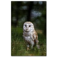 Cakapuzzle Çayırda Beyaz Baykuş Ahşap 500 Parça Puzzle