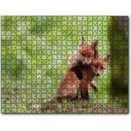 Cakapuzzle Çayırda Birbiriyle Oynayan Yavru Tilkiler Mdf 500 Parça Puzzle