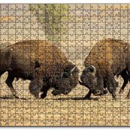 Cakapuzzle Çayırda Gövde Gösterisindeki Bizonlar Mdf 120 Parça Puzzle