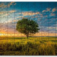 Cakapuzzle Çayırda Günbatımı Bulutlar ve Yalnız Ağaç Mdf 500 Parça Puzzle