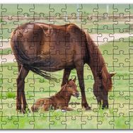 Cakapuzzle Çayırda Kahverengi Anne At ve Sevimli Tayı Mdf 500 Parça Puzzle