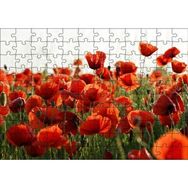 Cakapuzzle Çayırda Kırmızı Gelincikler Mdf 120 Parça Puzzle