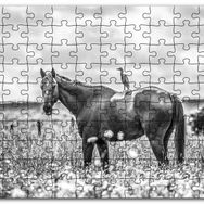 Cakapuzzle Çayırda Otlayan Aygır ve Sırtındaki Kuş Mdf 1000 Parça Puzzle