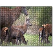 Cakapuzzle Çayırda Otlayan Geyikler Mdf 1000 Parça Puzzle