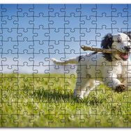 Cakapuzzle Çayırda Oyun Oynayan Sevimli Köpek Mdf 1000 Parça Puzzle