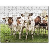 Cakapuzzle Çayırda Tel Örgünün Kenarında İnekler Mdf 500 Parça Puzzle