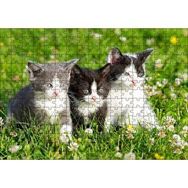 Cakapuzzle Çayırda Üç Yavru Kedi 120 Parça Ahşap Puzzle