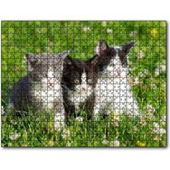 Cakapuzzle Çayırda Üç Yavru Kedi Mdf 500 Parça Puzzle
