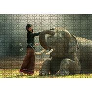 Cakapuzzle Çayırdaki Fil ve Onu Seven Kız 120 Parça Ahşap Puzzle