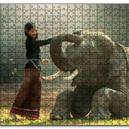 Cakapuzzle Çayırdaki Fil ve Onu Seven Kız Mdf 120 Parça Puzzle