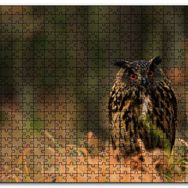 Cakapuzzle Çayırdaki Kırmızı Gözlü Baykuş Mdf 120 Parça Puzzle