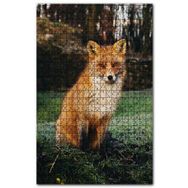 Cakapuzzle Çayırdaki Kızıl Tilki Poz Veriyor Ahşap 1000 Parça Puzzle