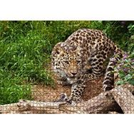 Cakapuzzle Çayırdaki Leopar Pusuda Mdf 1000 Parça Puzzle