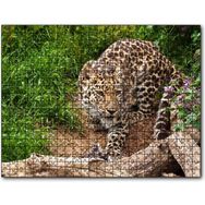 Cakapuzzle Çayırdaki Leopar Pusuda Mdf 120 Parça Puzzle