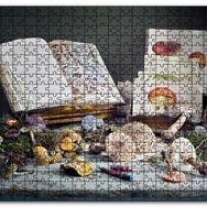 Cakapuzzle Çeşitli Mantarlar ve Mantarlara Dair Kitaplar Mdf 1000 Parça Puzzle