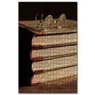 Cakapuzzle Ciltli Kitaplar ve Gözlük Ahşap 1000 Parça Puzzle