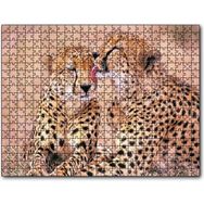 Cakapuzzle Çita Ailesi Temizleniyor Mdf 1000 Parça Puzzle