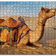 Cakapuzzle Çöl Kumlarına Çökmüş Deve Mdf 1000 Parça Puzzle