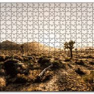 Cakapuzzle Çölde Gündoğumu Otlar ve Kaktüsler Mdf 1000 Parça Puzzle