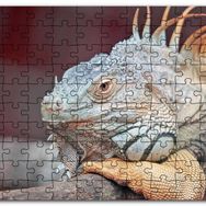 Cakapuzzle Dal Üzerinde Dinlenen Dev Kertenkele Mdf 500 Parça Puzzle