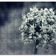 Cakapuzzle Dal ve Tomurcuk Şeklinde Çiçek Siyah Beyaz Mdf 255 Parça Puzzle