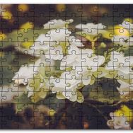 Cakapuzzle Dalda Bembeyaz Çiçekler Flu Arkaplan Mdf 120 Parça Puzzle