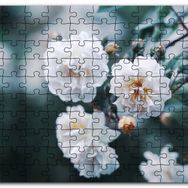 Cakapuzzle Dalda Beyaz Çiçekler Flu Arkaplan Mdf 500 Parça Puzzle
