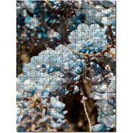 Cakapuzzle Dalda Mavi Renkli Çiçekler 255 Parça Puzzle
