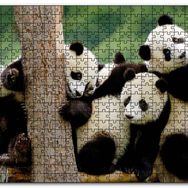 Cakapuzzle Dalda Oynayan Yavru Pandalar Mdf 120 Parça Puzzle