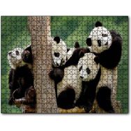 Cakapuzzle Dalda Oynayan Yavru Pandalar Mdf 255 Parça Puzzle
