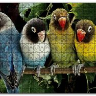 Cakapuzzle Dalda Sevda Papağanları Mdf 1000 Parça Puzzle