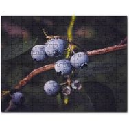 Cakapuzzle Dalda Yabanmersini Meyveleri Mdf 1000 Parça Puzzle