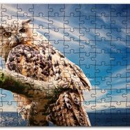 Cakapuzzle Daldaki Avcı Baykuş Deniz ve Bulutlar Mdf 1000 Parça Puzzle
