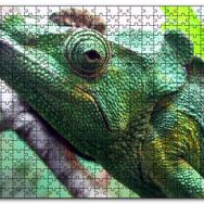 Cakapuzzle Daldaki Bukalemun Yakın Çekim Mdf 255 Parça Puzzle