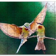 Cakapuzzle Daldaki Dişisini Besleyen Erkek Kuş Mdf 1000 Parça Puzzle