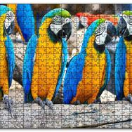 Cakapuzzle Daldaki Sarı Mavi Macaw Papağanları Mdf 120 Parça Puzzle