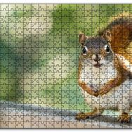 Cakapuzzle Daldaki Sevimli Küçük Sincap Mdf 120 Parça Puzzle