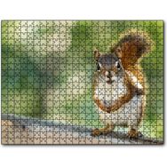 Cakapuzzle Daldaki Sevimli Küçük Sincap Mdf 255 Parça Puzzle