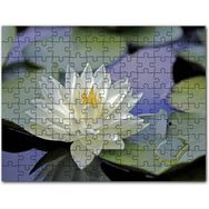 Cakapuzzle Daldan Aşağı Uçan Sarı Yeşil Papağan Mdf 120 Parça Puzzle