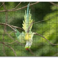 Cakapuzzle Daldan Aşağı Uçan Sarı Yeşil Papağan Mdf 255 Parça Puzzle