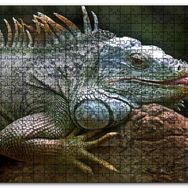 Cakapuzzle Dalın Üzerinde Dinlenen İguana Mdf 255 Parça Puzzle