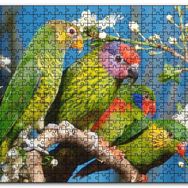 Cakapuzzle Dalın Üzerindeki Sevda Kuşları Mdf 255 Parça Puzzle